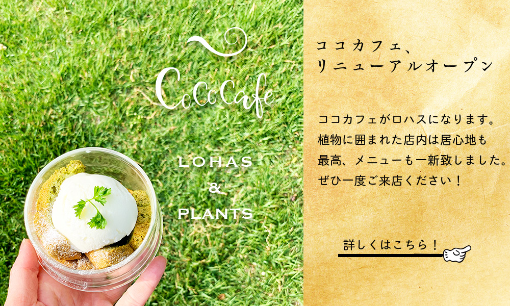 cococafe